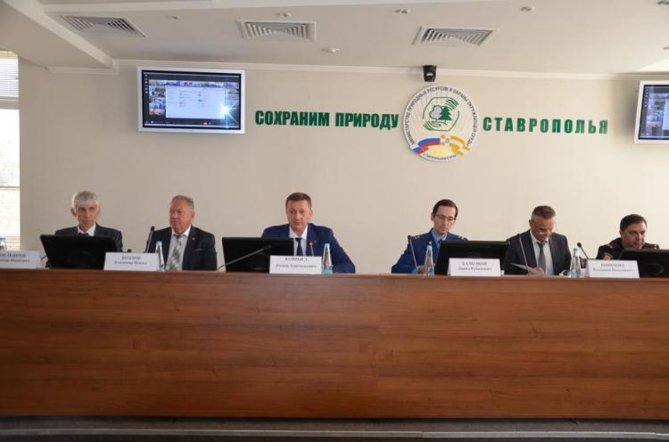 Заседание коллегии Министерства природных ресурсов и охраны окружающей среды Ставропольского края