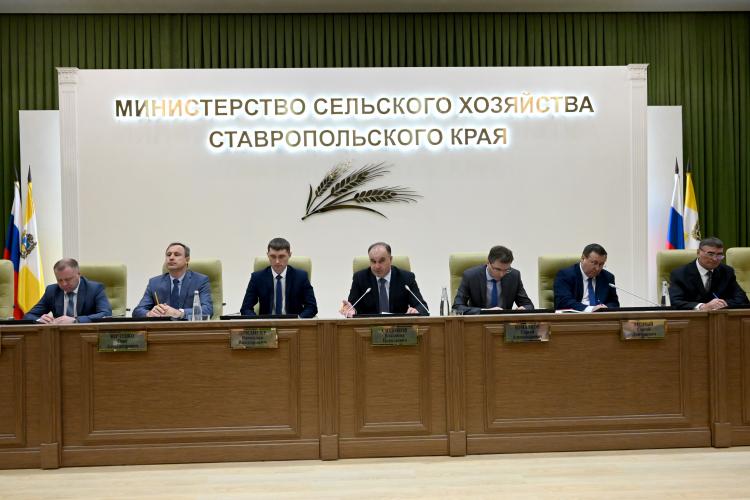 Совещание в Министерстве сельского хозяйства Ставропольского края по вопросам дальнейшего развития агропромышленного комплекса