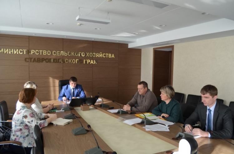 Селекторное совещание в министерстве сельского хозяйства Ставропольского края