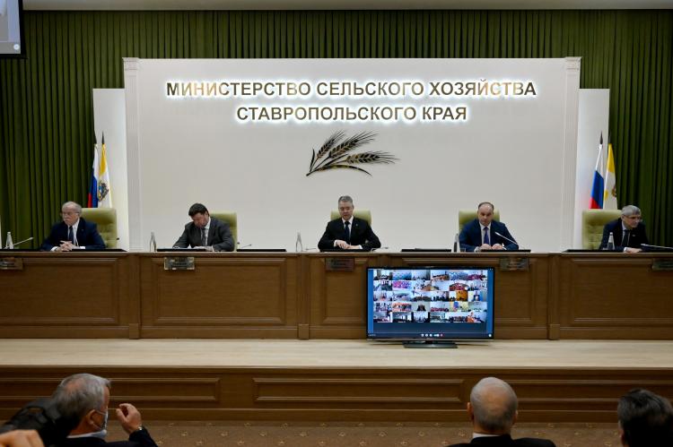 В Минсельхозе Ставропольского края подвели итоги работы АПК за прошлый год