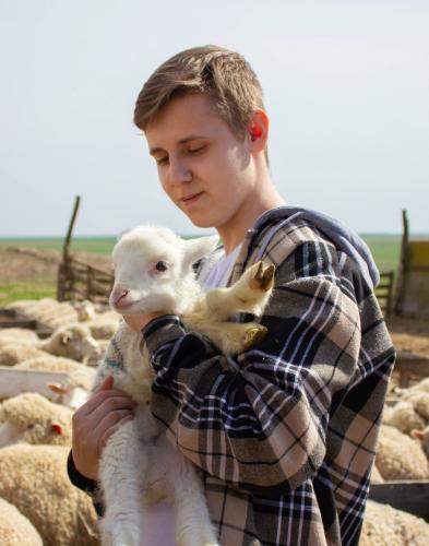 Будущие зоотехники познакомились с процессом ягнения овец