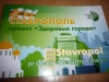 SSAU - an active participant of the project "Healthy Cities"