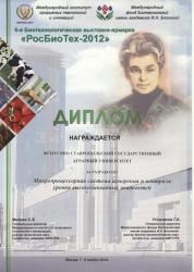  Блохиной 2012 - 2-ой проект