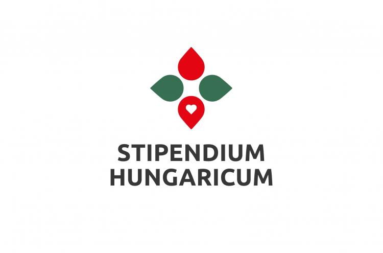 A student of Economics Faculty has won a scholarship to study in Hungary