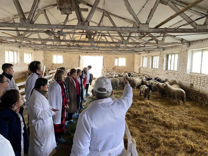 Zootechnicians from SSAU studied reproductive technology at the All-Russian Research Institute for Animal Breeding experimental station