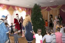 Волонтерская деятельность 2015