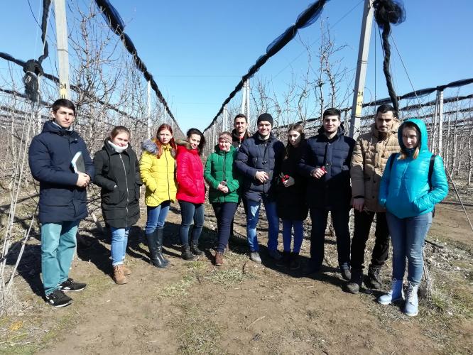 Выездное практико-ориентированное занятие для студентов Ставропольского государственного аграрного университета в саду интенсивного типа