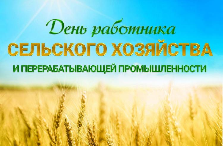 Congratulations on the Day of agriculture and processing industry workers from the Rector of Stavropol State Agrarian University, Academician of the Russian Academy of Sciences, Professor V.I. Trukhachev