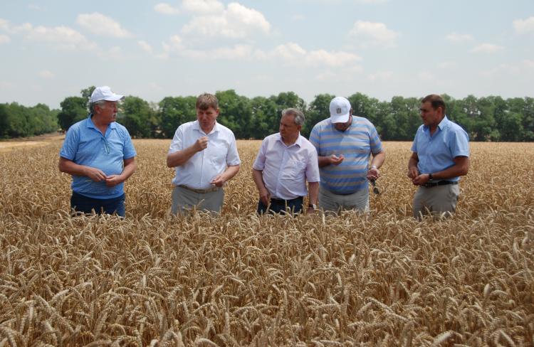 Representatives of the region government checked the progress of harvesting