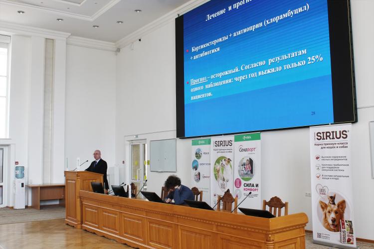 Scientific and practical course "Private dermatology of small pets" from the strategic partner KRKA