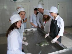  черепахи трионикс 12.05 (4)