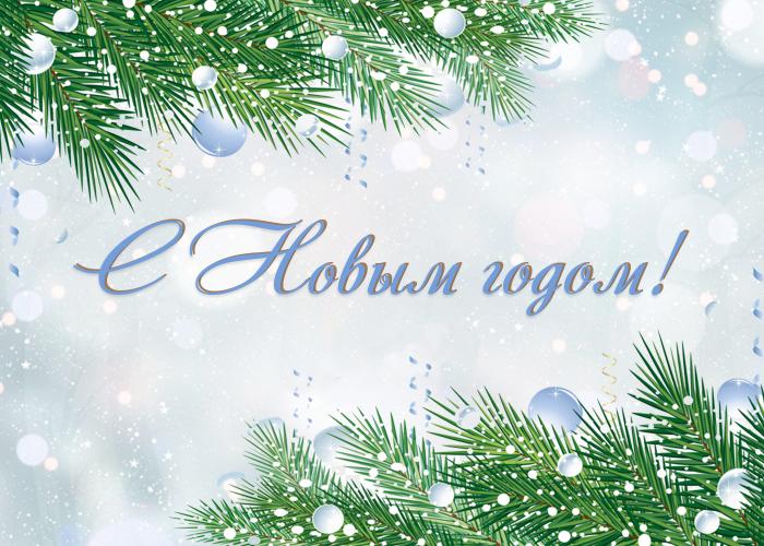 Congratulations on the New Year and Merry Christmas from the Acting Rector of the Stavropol State Agrarian University  Vladimir Sitnikov