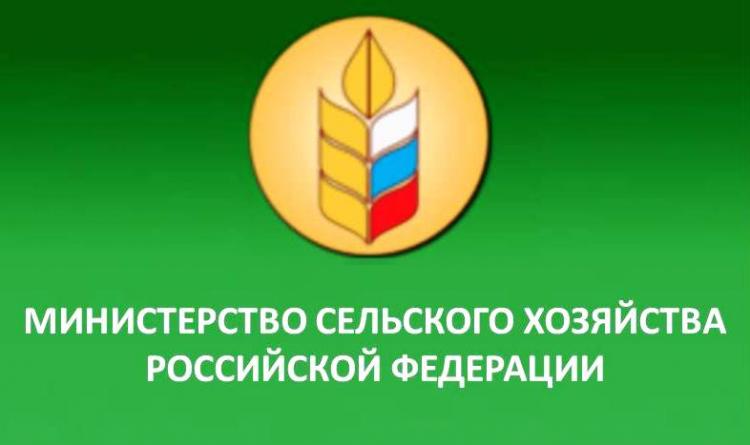 First place of the Stavropol State Agricultural University in ranking-2018