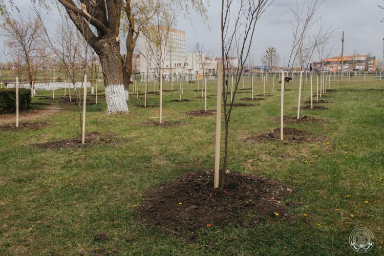 Stavropol State Agrarian University took part in the campaign “Garden of Memory”
