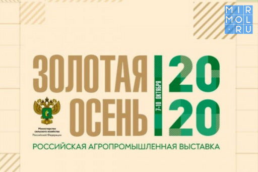 Results of the 22nd Russian agro-industrial exhibition "Golden Autumn - 2020".