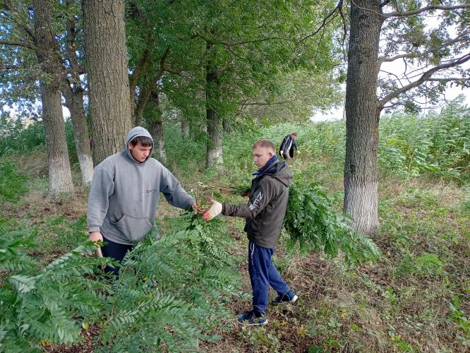 Students of Stavropol State Agrarian University held the first stage of the reconstruction of the forest belts of the educational farm