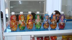 DSC06965