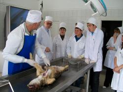  занятие по патанатомии вскрытие (3)