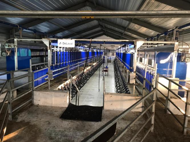 Открытие молочно-товарной фермы по производству и переработке козьего молока
