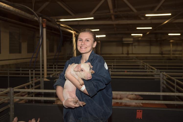 Students of the Faculty of Secondary Vocational Education of SSAU have an internship at the Gvardiya pig farm