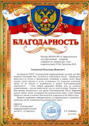 Волонтерская деятельность 2015