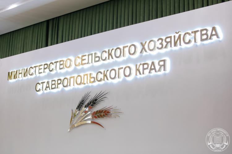 The 100th anniversary of the Trade Union of Agricultural Workers of Russia was celebrated in the Ministry of Agriculture of Stavropol Territory