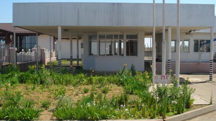 DSC08953