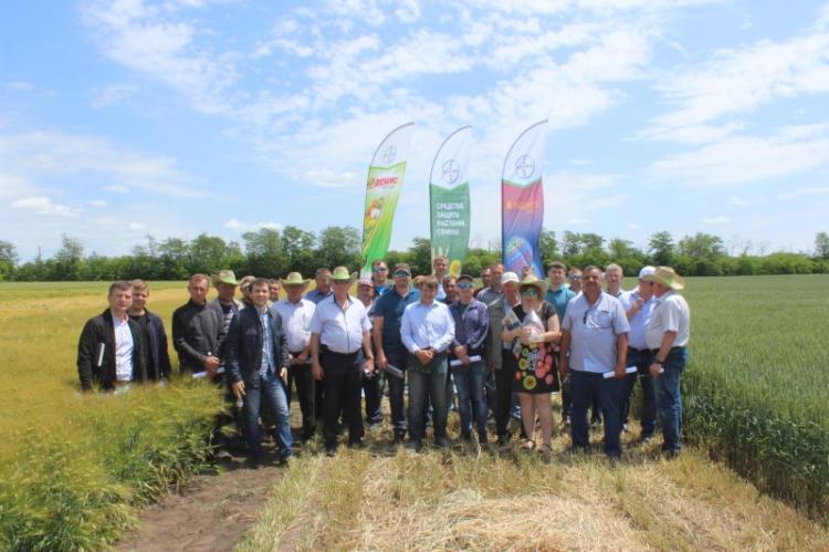 Representatives of the Agrarian University organized the "Field Day"