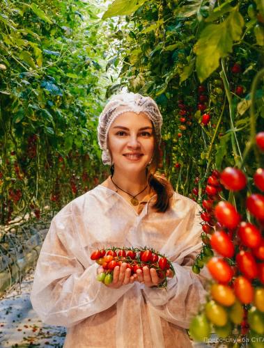 Stavropol State Agrarian University will start training specialists for greenhouse complexes in Russia