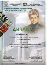 2012. Фонд Блохиной. Бобрышев. Костюкова