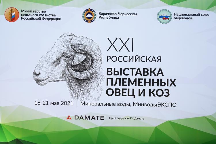 XXI Russian Exhibition of breeding sheep and goats