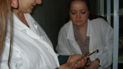 DSC08788