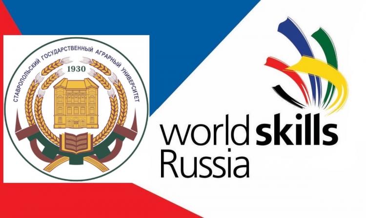 Lecturer of the Stavropol State Agrarian University received the status of "Expert of the WorldSkills Russia Championship"