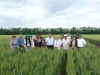 During the  Field Day scientists got acquainted with the latest achievements of breeding and seed production