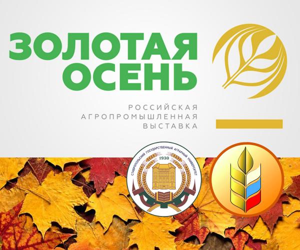Opening of the XXI Russian Agricultural Exhibition “Golden Autumn”