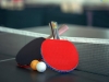 Victory in table tennis competitions!