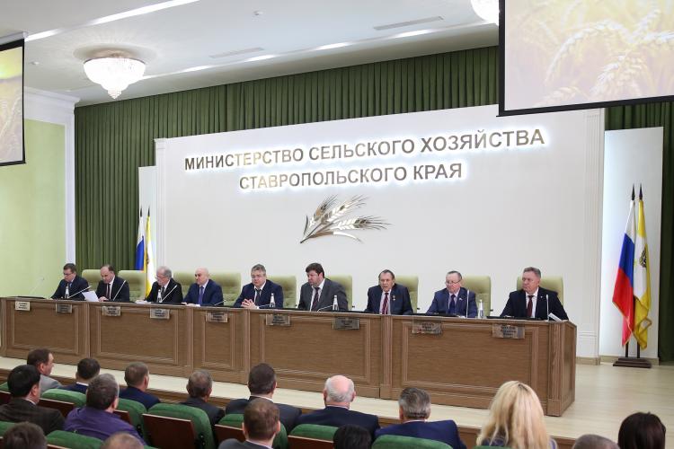 Regional Conference “On the results of the work of the agro-industrial complex of the Stavropol Territory in 2018 and tasks for 2019”