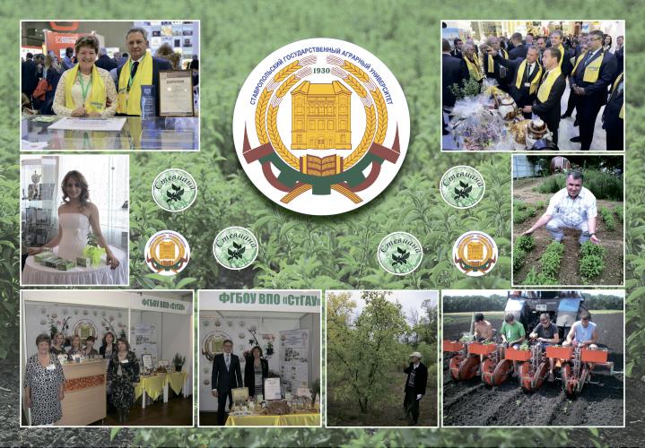 The monograph "From the sprout to the functional product of healthy nutrition" won the International Competition "Interclover-2019" in the nomination "Agricultural Sciences"