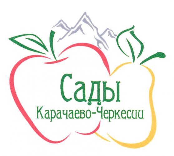 Sharing of experience in OOO "Gardens of Karachay-Cherkessia" by scientists of SSAU