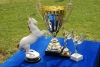 Horse-racing competition on the SSAU rector’s Cup was held.