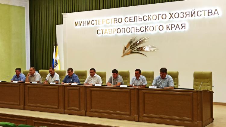 Participation in the videoconferencing of the Ministry of Agriculture of Russia for pedigree dairy cattle breeding
