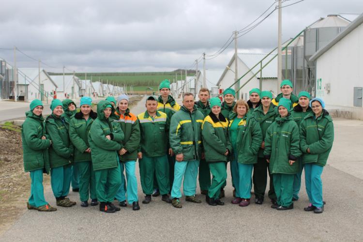 Departure of students to the broiler chickens breeding enterprise «Blagodarnenskiy branch of ZAO «The Stavropol Broiler»